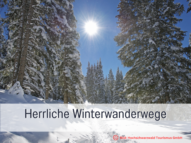 Herrliche Winterwanderwege